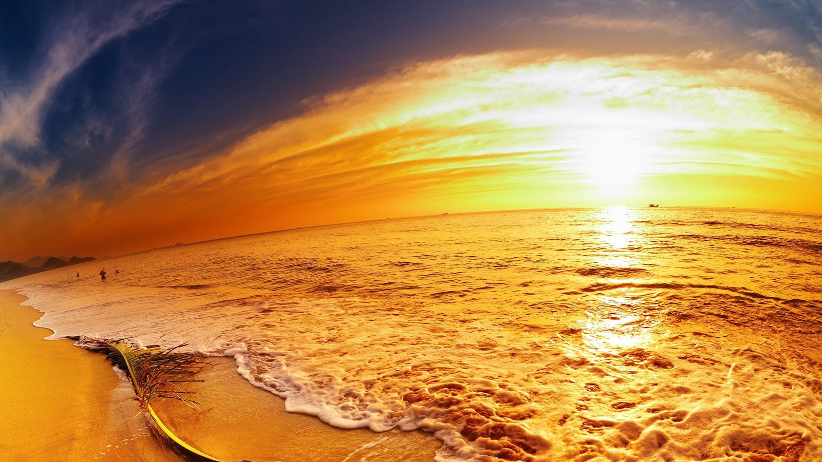 sea sunset sky beach sunlight horizon water 2k