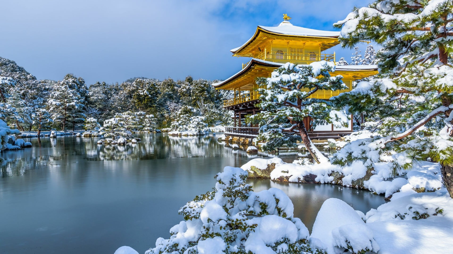 snow winter kinkaku ji nature water tree tourist attraction 2k