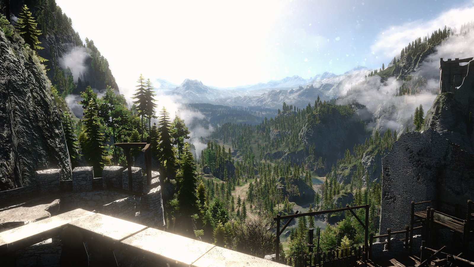 The Witcher 3 Wild Hunt mountain plant tree 2k