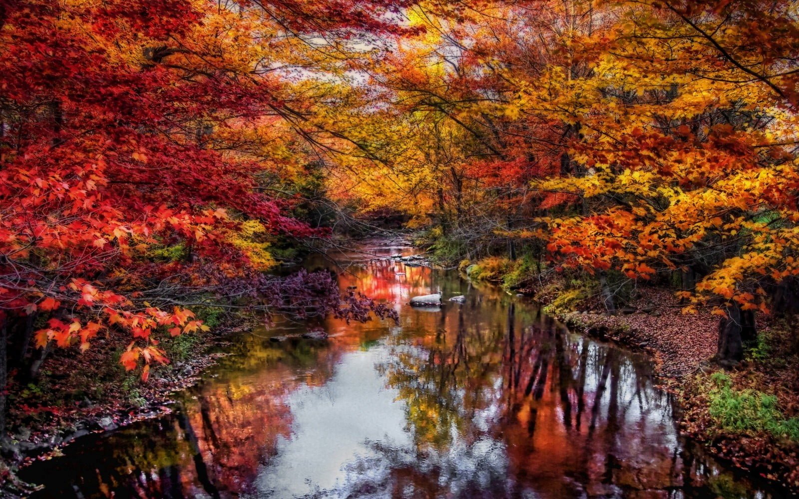 body of water painting nature landscape river leaves colorful 2k