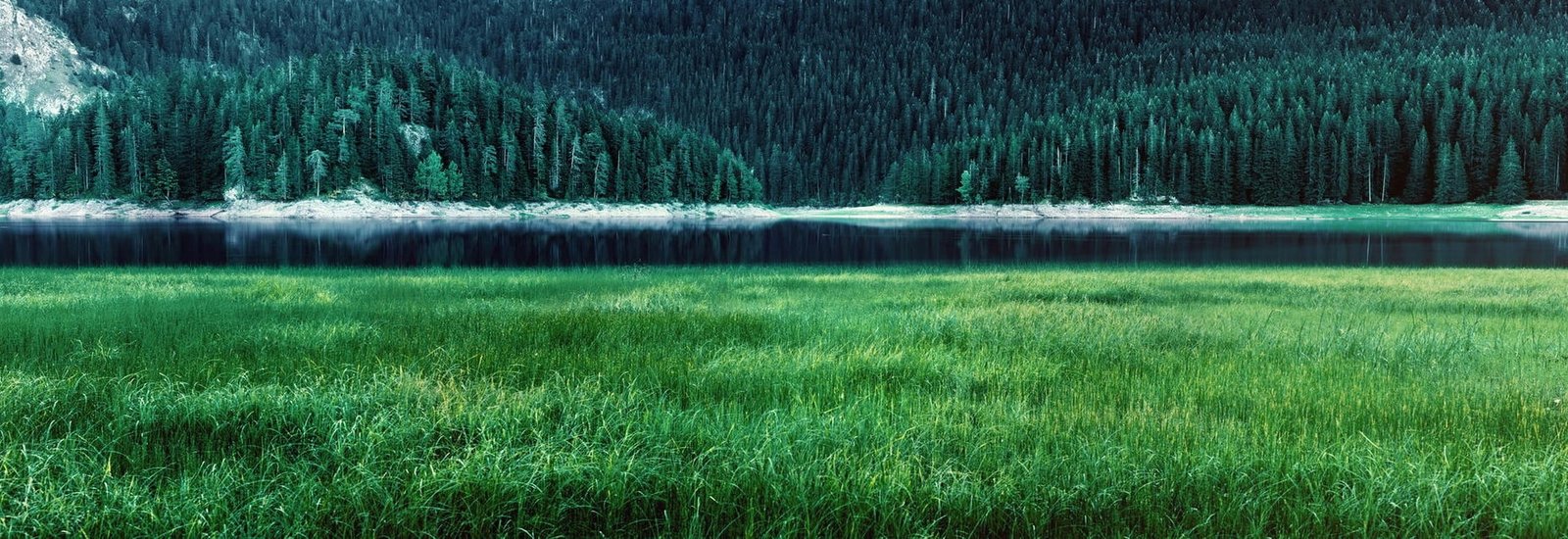 green grass field lake mountains forest spring water panoramas 2k