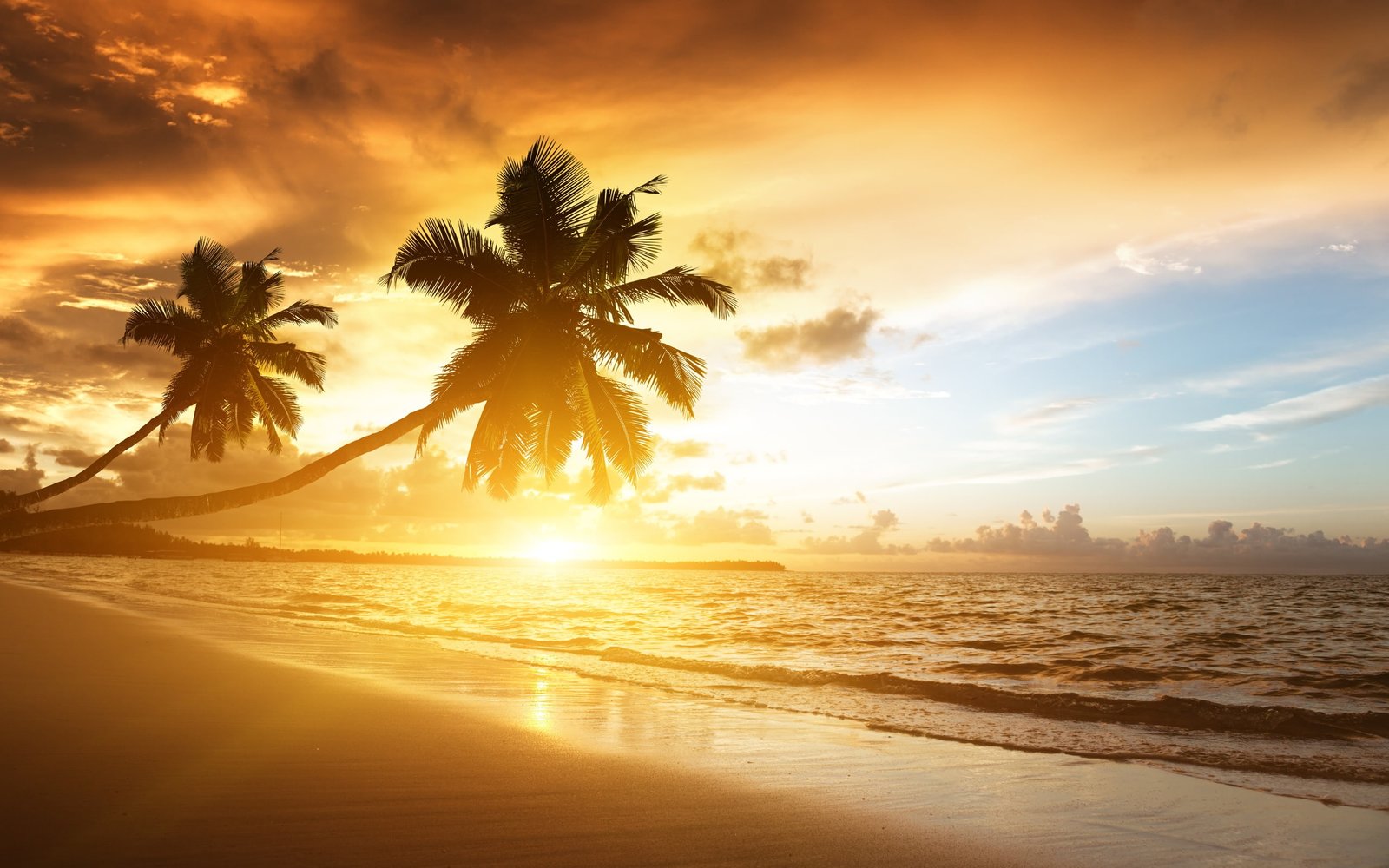 Beach sunrise beautiful scenery sunlight rays 2k