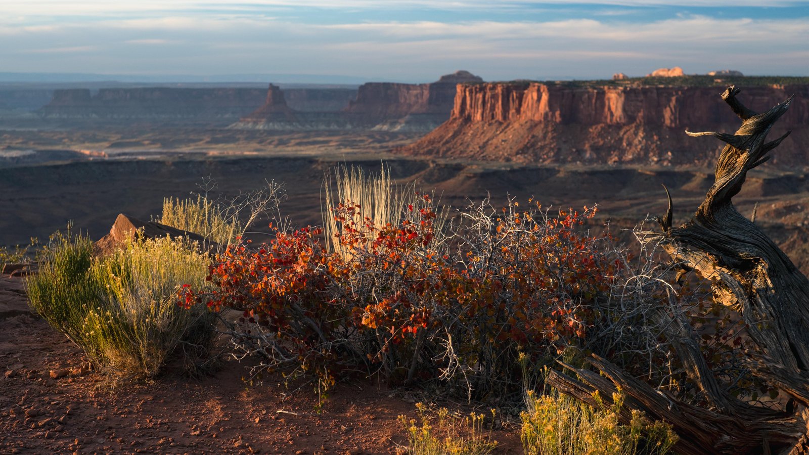 Canyonlands