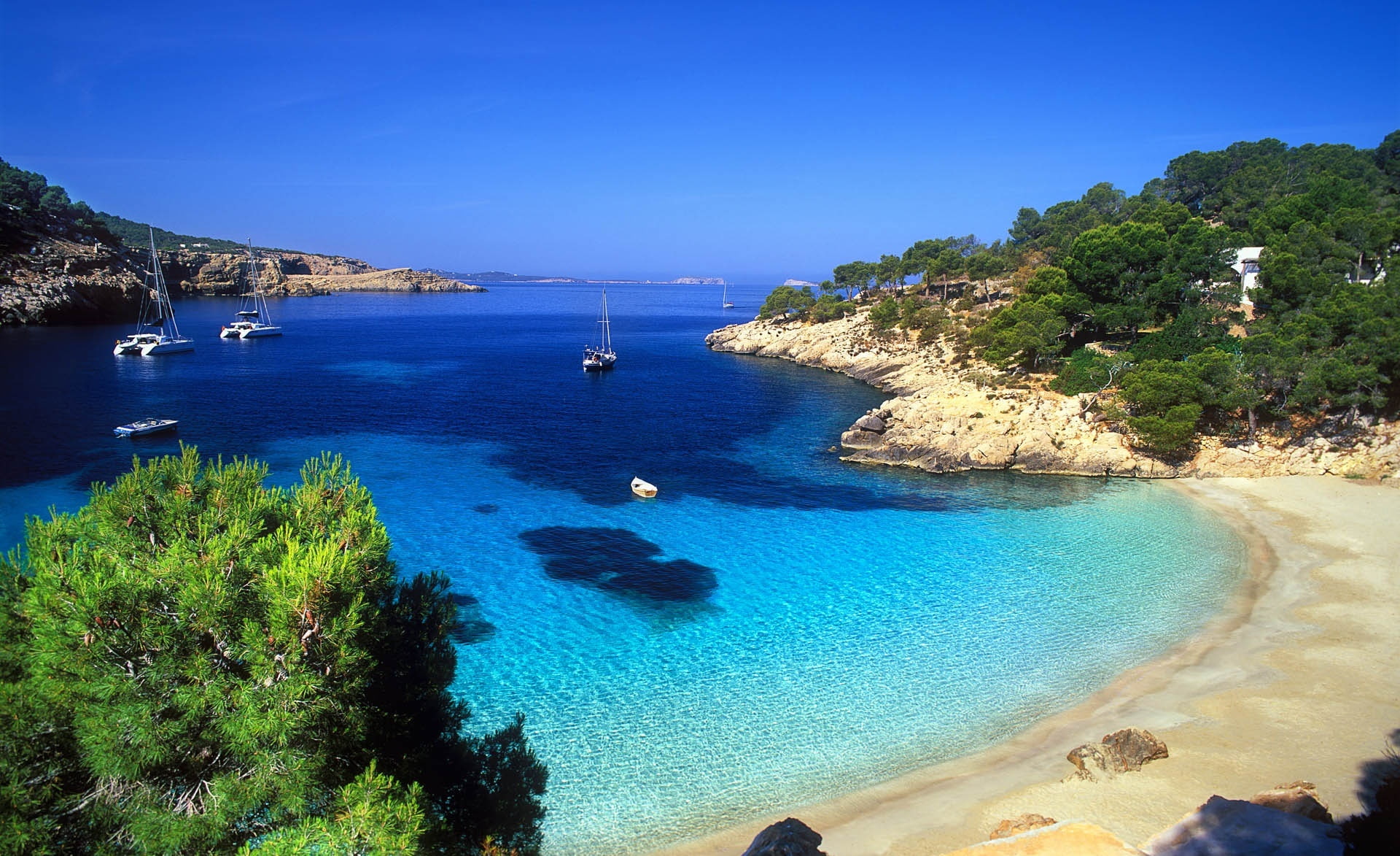 Ibiza green leafed trees and brown sand beach Travel Islands 2k