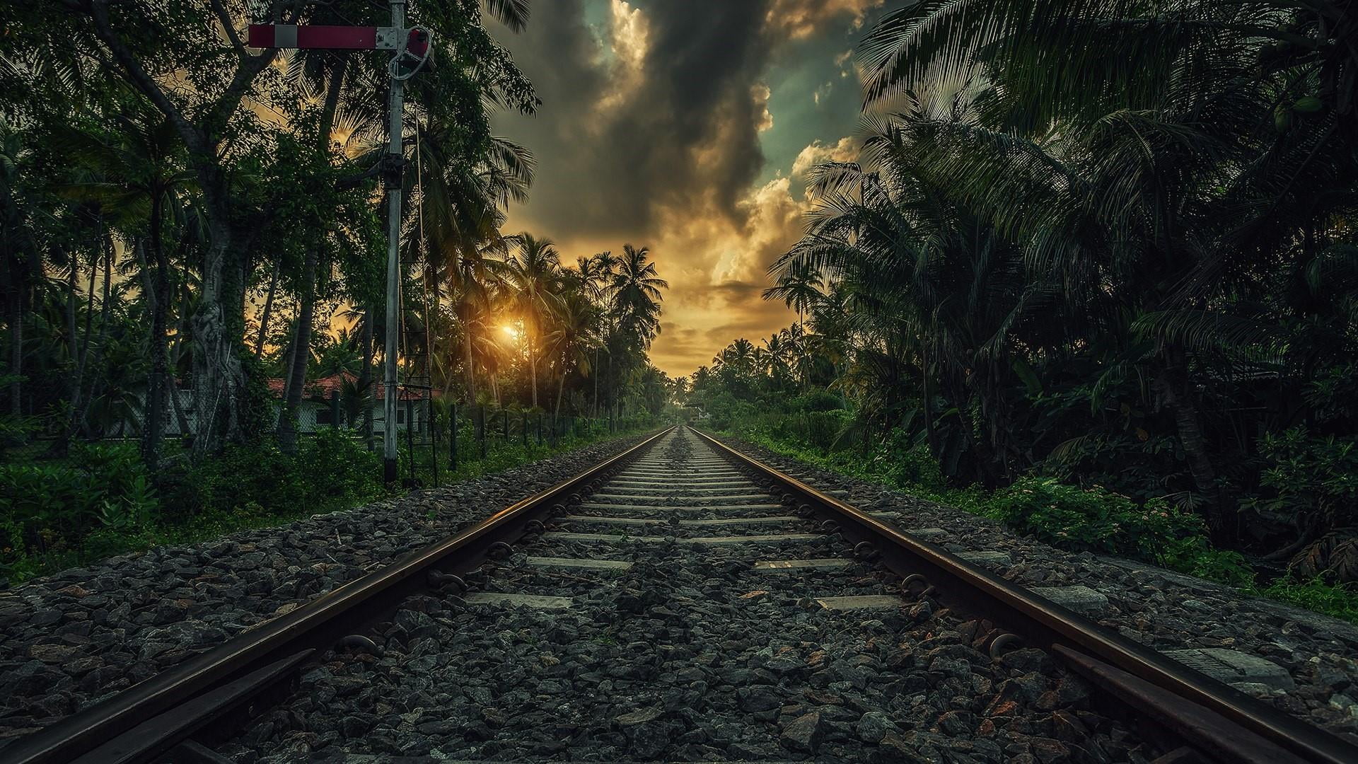 rail transport cloud asia tropical palms landscape sunset 2k