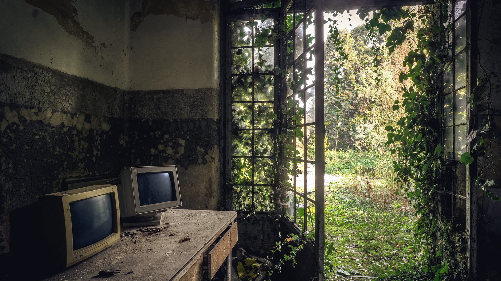 two gray CRT computer monitors nature abandoned obsolete indoors 2k