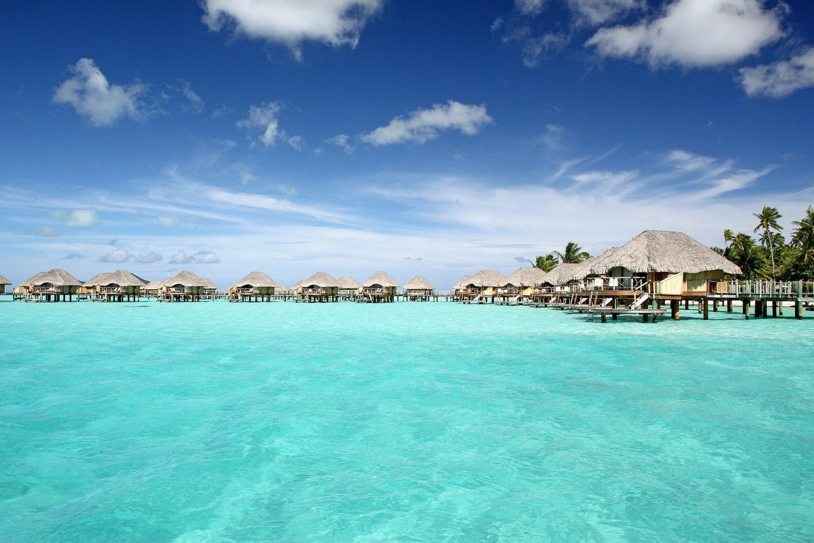 Bora the ocean maldives Bungalow pearl beach resort 2k