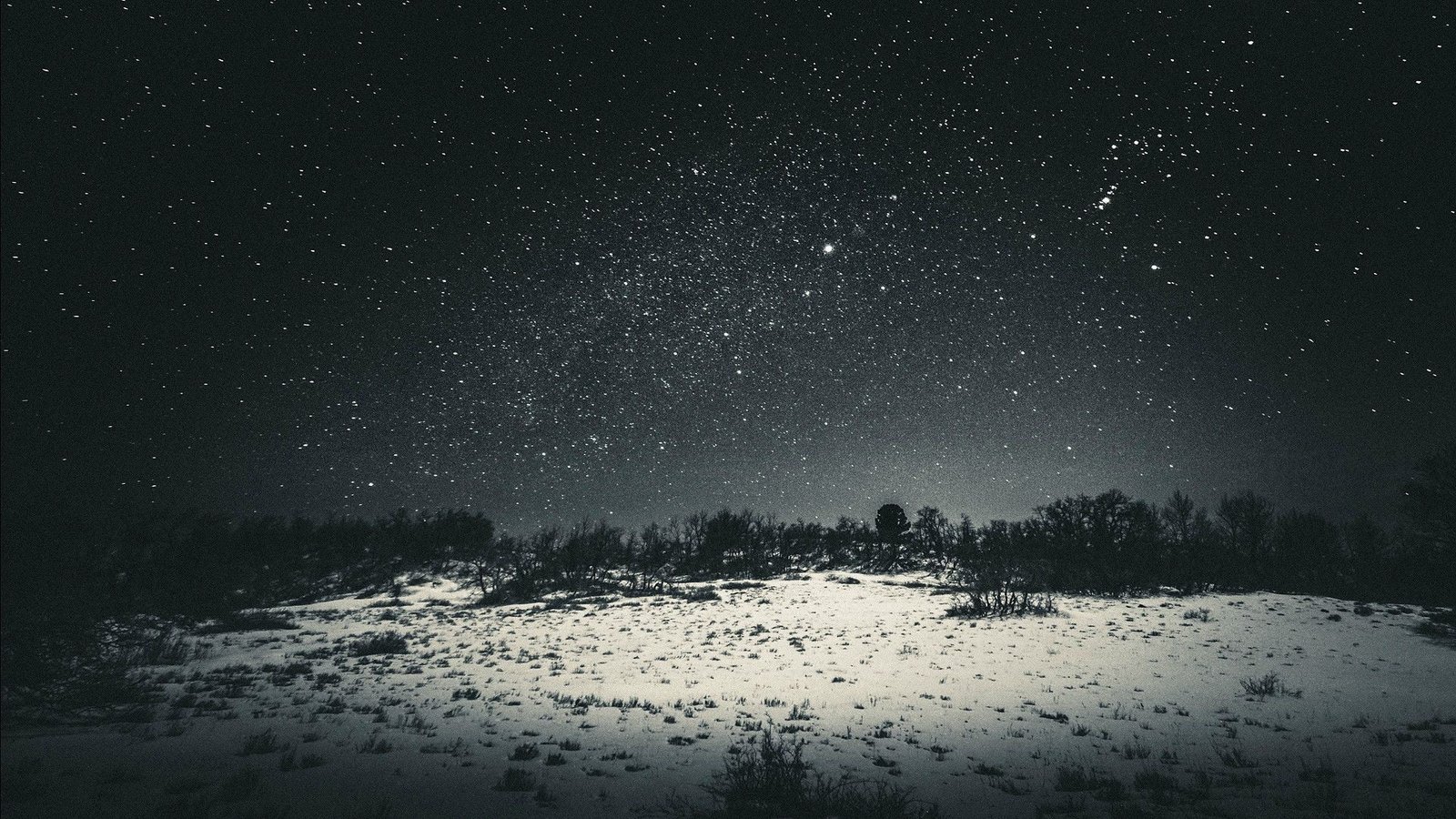 grayscale forest photo snow land with trees wallpaper stars 2k