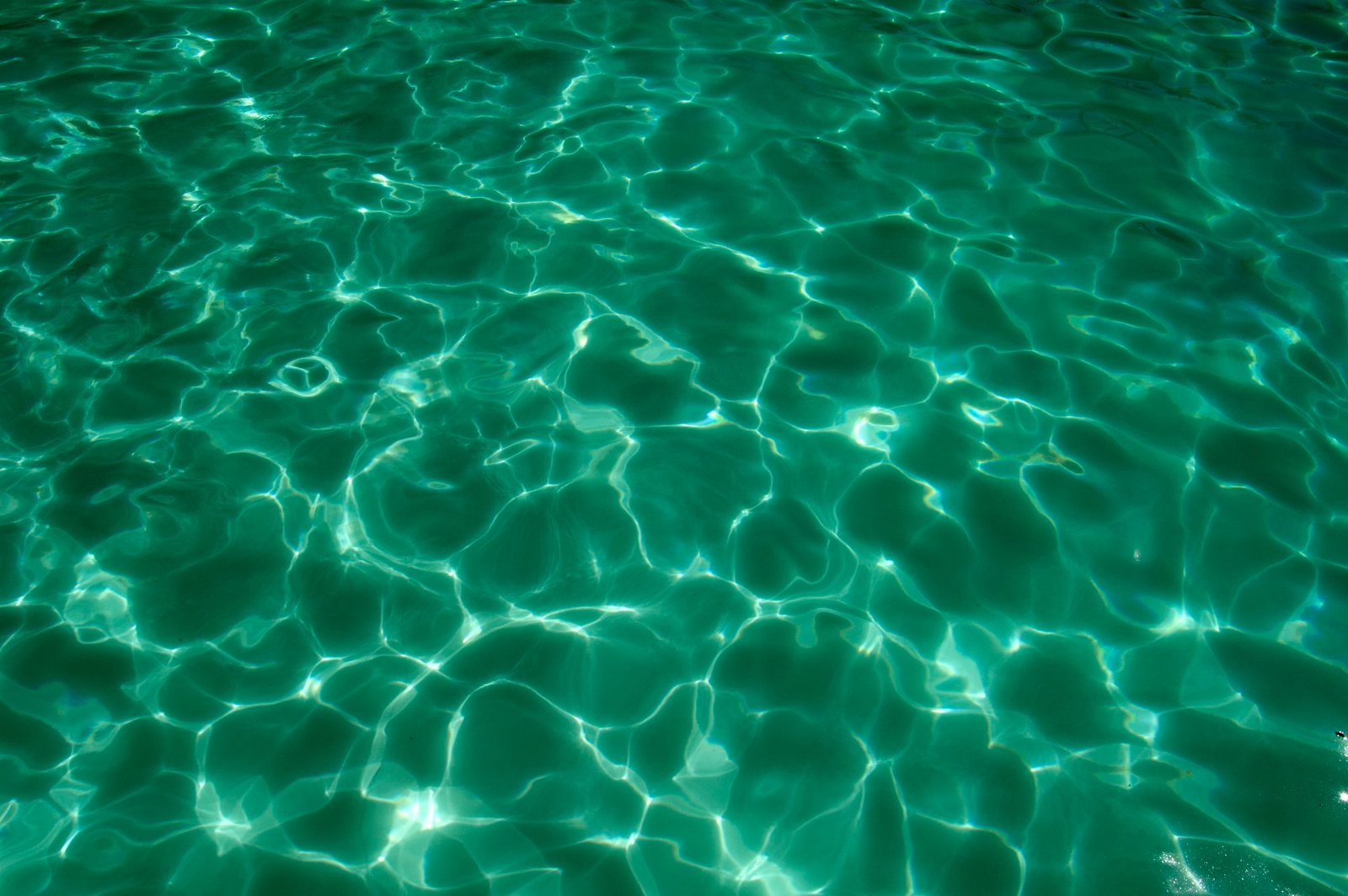 green clear body of water sea nature photography 2k