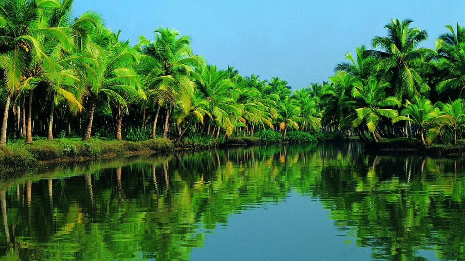india asia forest river sky bank kerala alappuzha tropics 2k