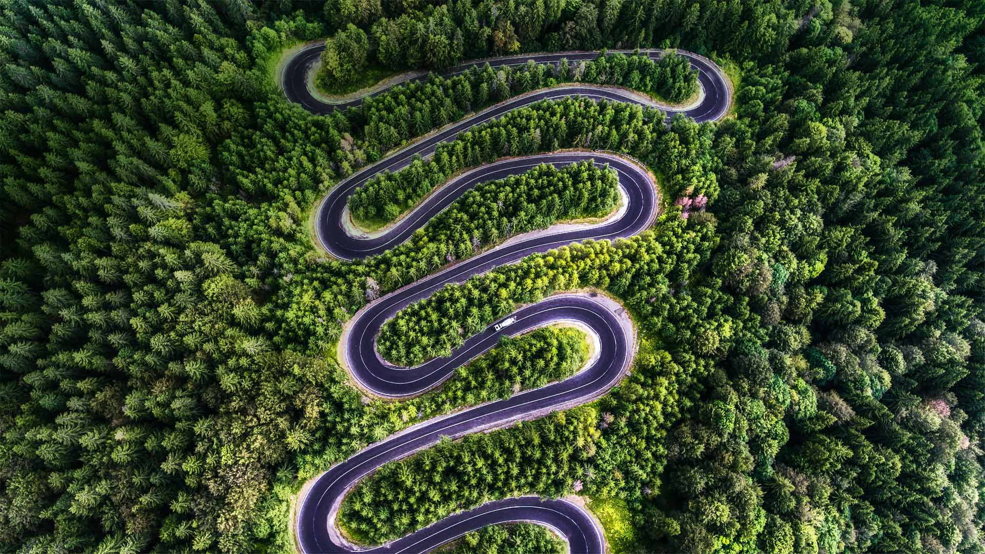 road hairpin turns nature landscape trees forest aerial view 2k