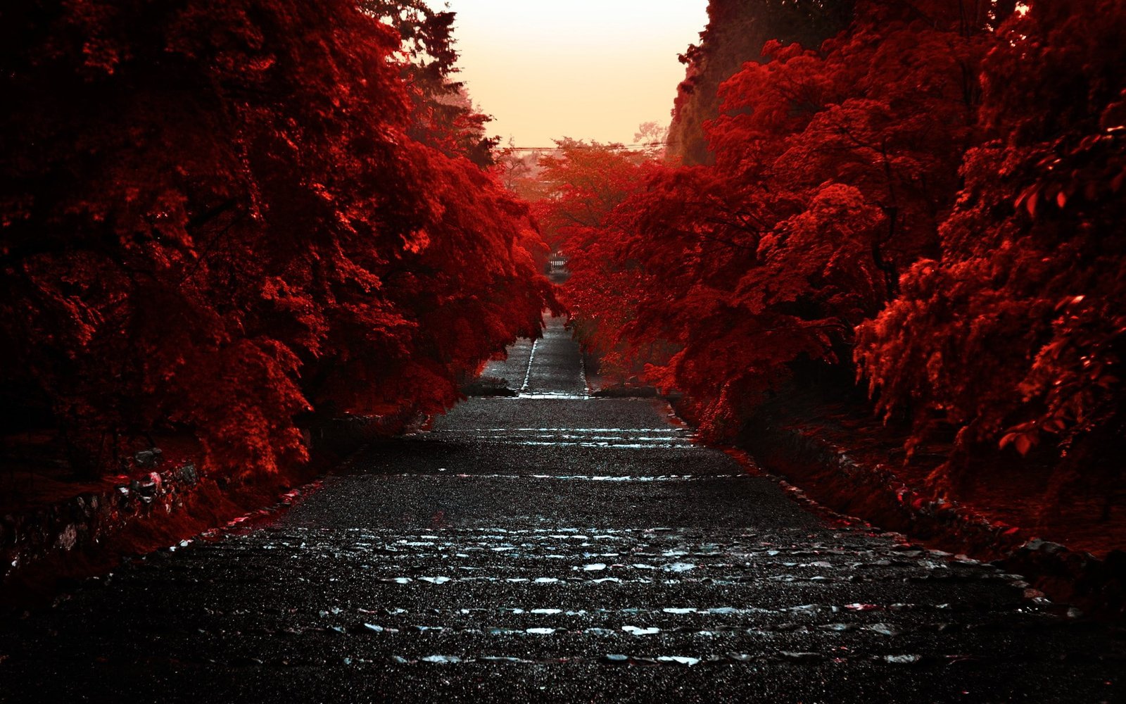 widescreen high resolution nature hd images direction 2k