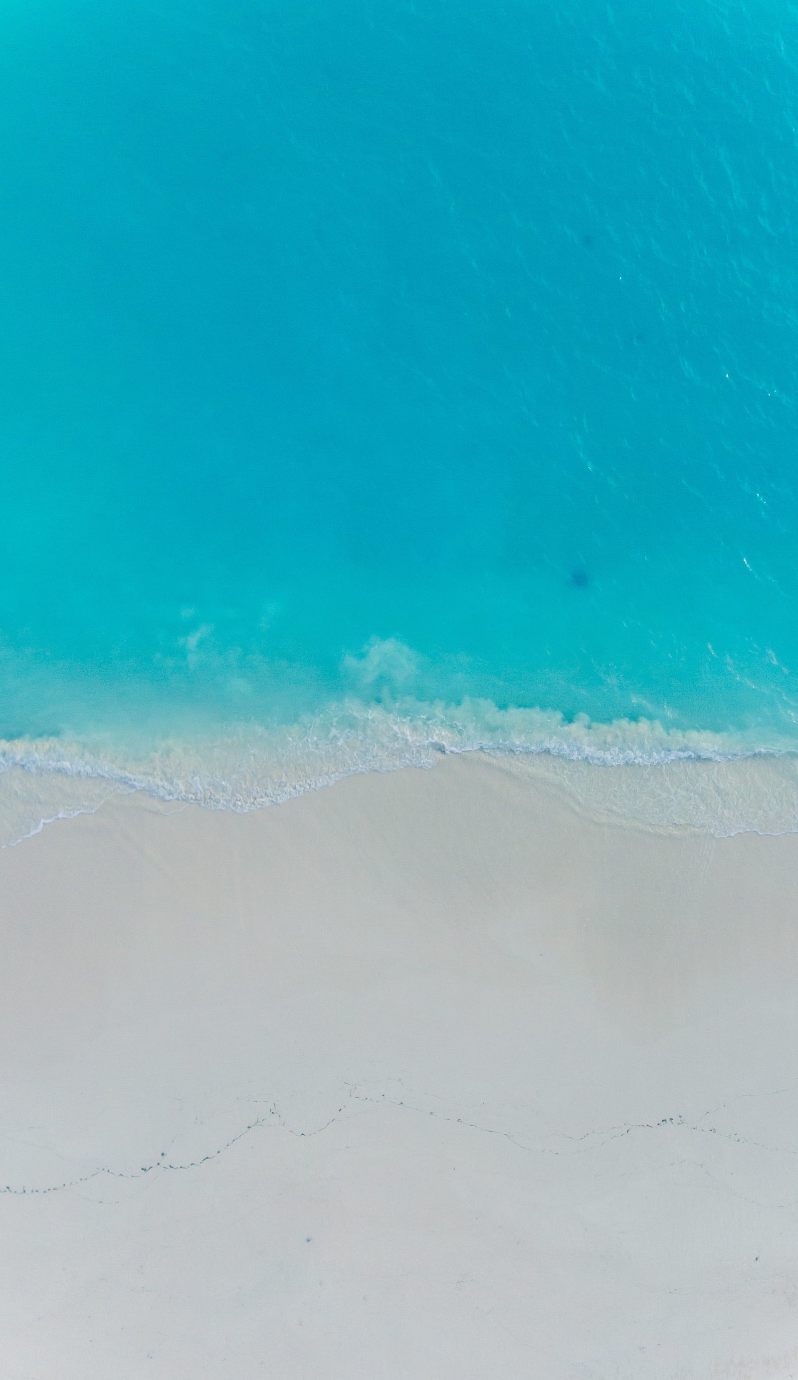 aerial photography of shore sea beach nature maldives funadhoo 2k