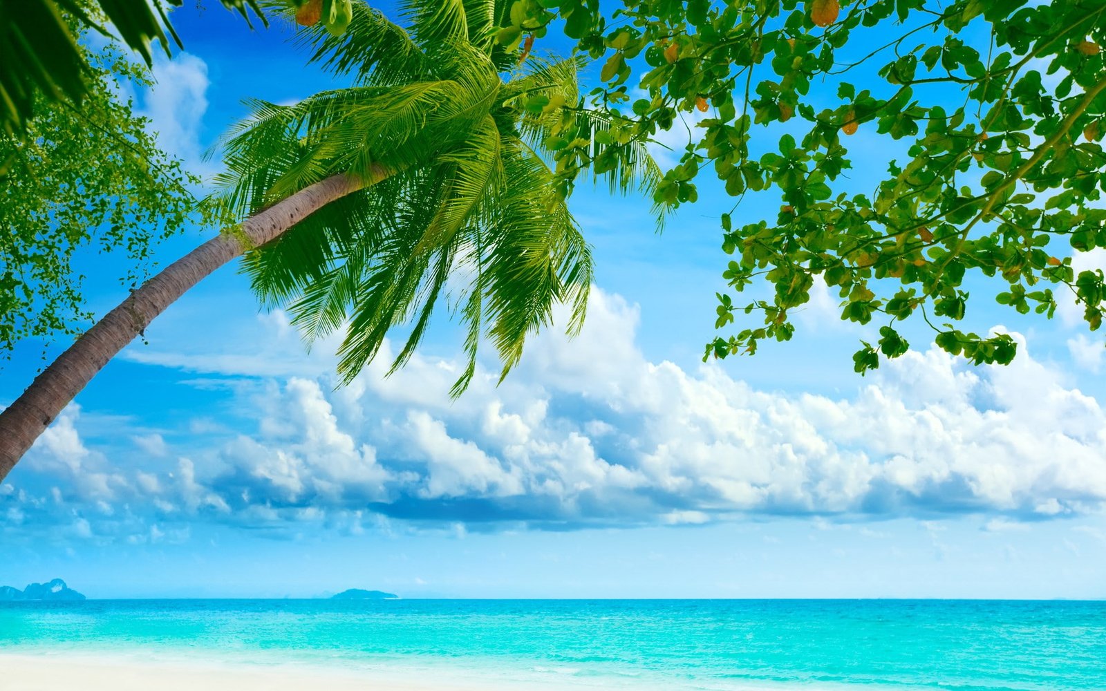 background nature image 2k