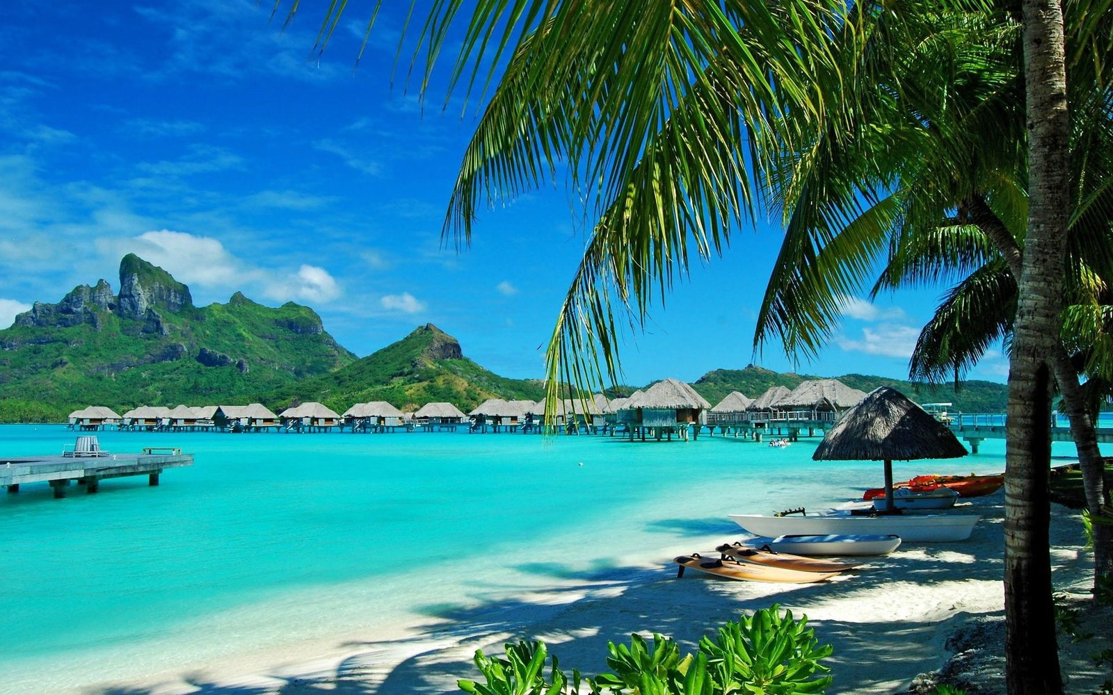 beach Bora resort bungalow sea palm trees 2k