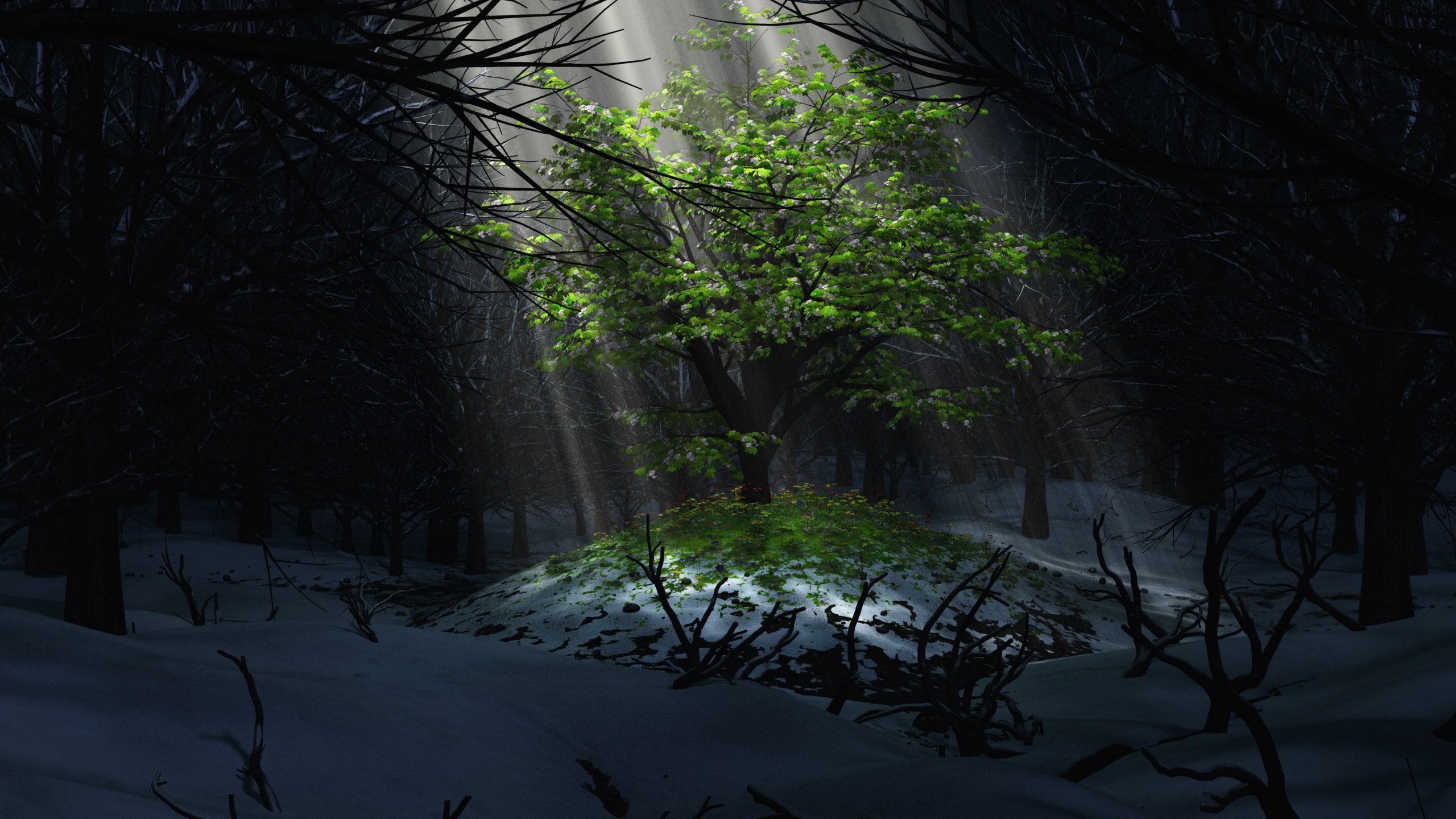 download nature pack 2k