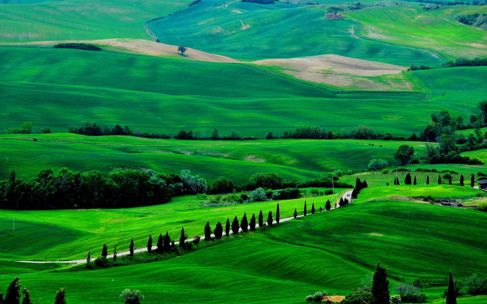 Italy Tuscany spring scenery fields road trees green 2k