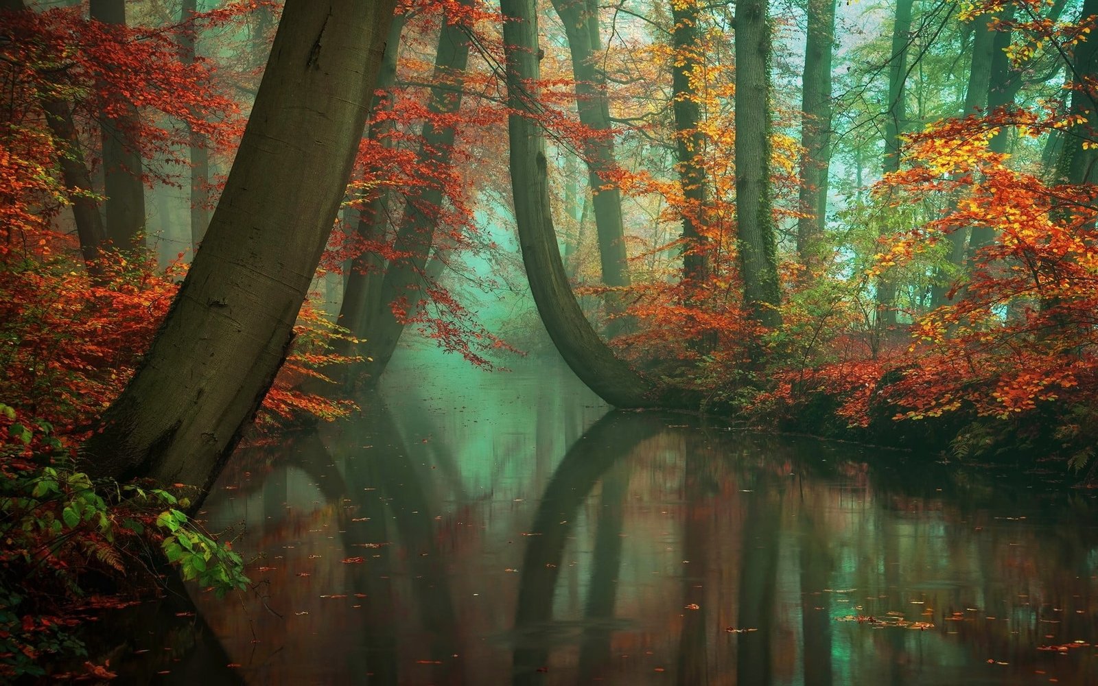 lake with trees on the side and body of water painting 2k