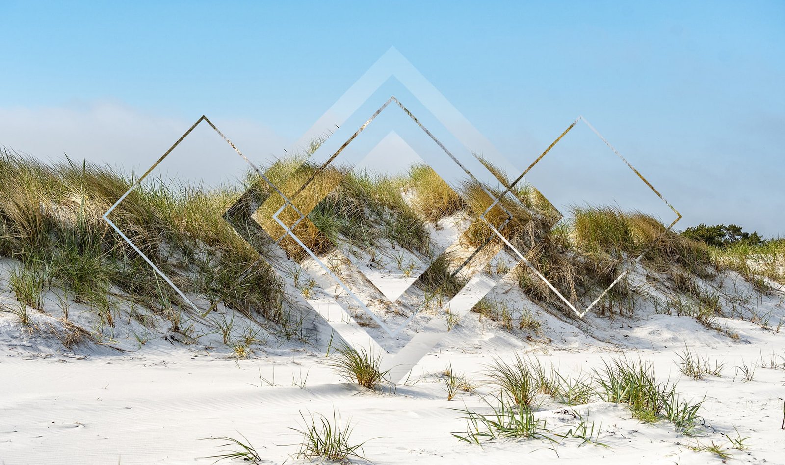 polyscape beach snow winter cold temperature plant nature 2k
