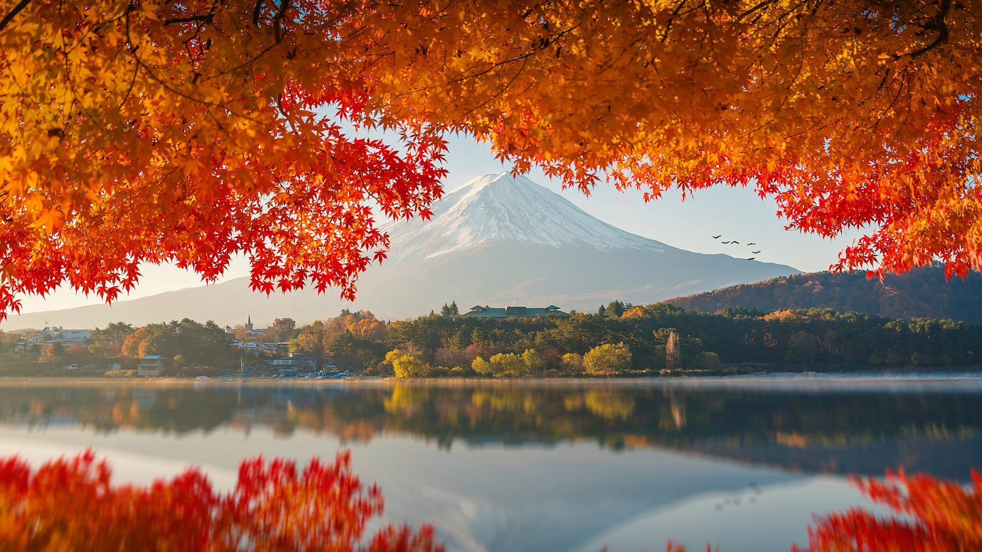 snow capped mountain photography Japan Mount Fuji autumn 2k