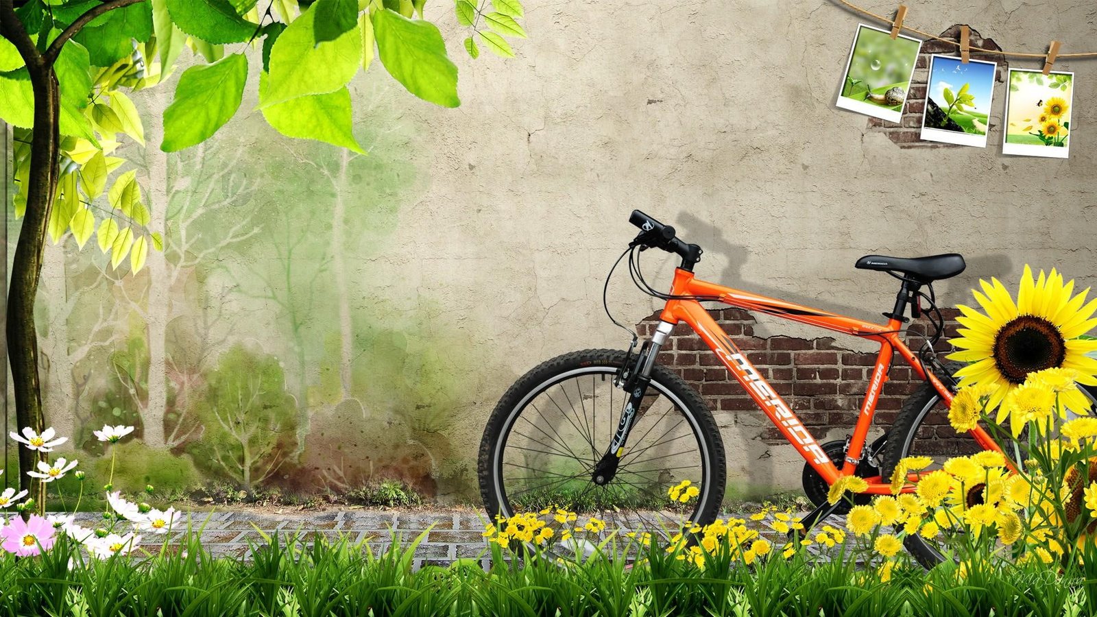 Spring Ride brick bike bicycle photos nature grass wall 2k