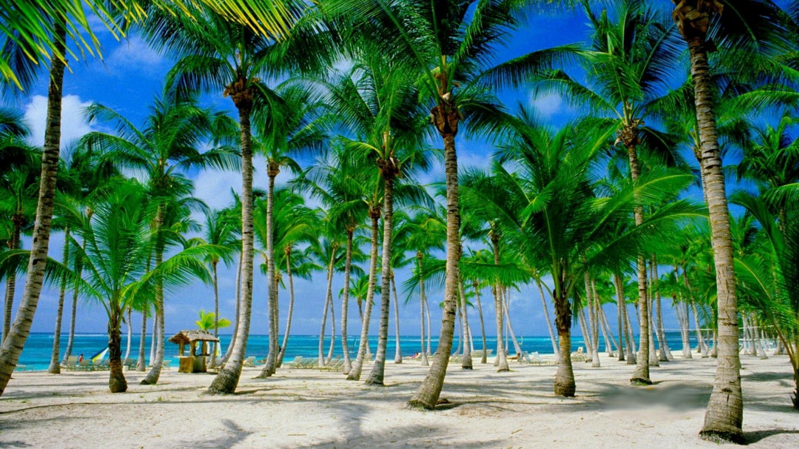 tourism dominican republic punta cana caribbean sea ocean 2k