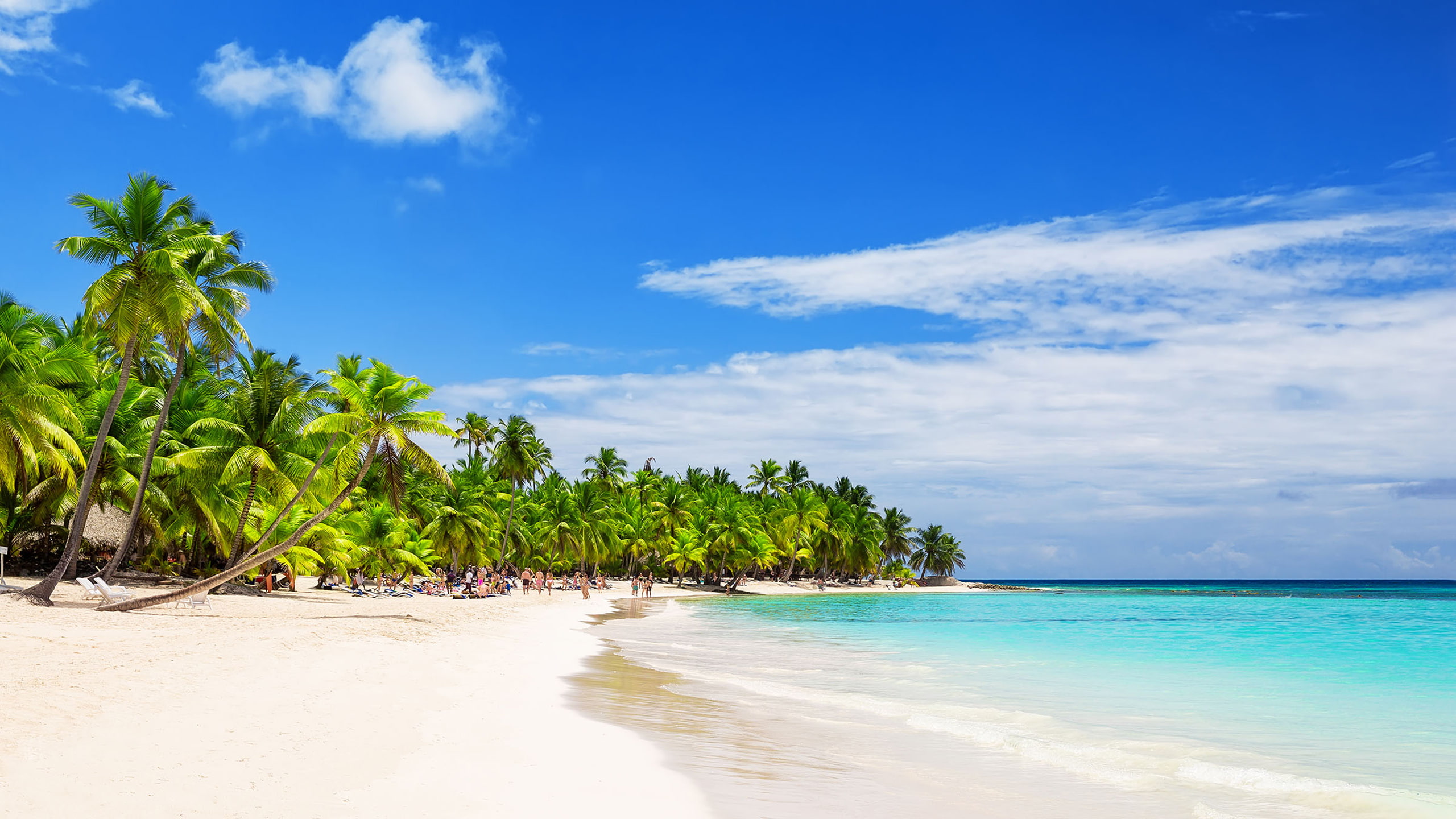 Arena Blanca Beach Dominican Republic White Sandy Beaches Coconut Palm Trees Tropical Wallpaper Hd 2k