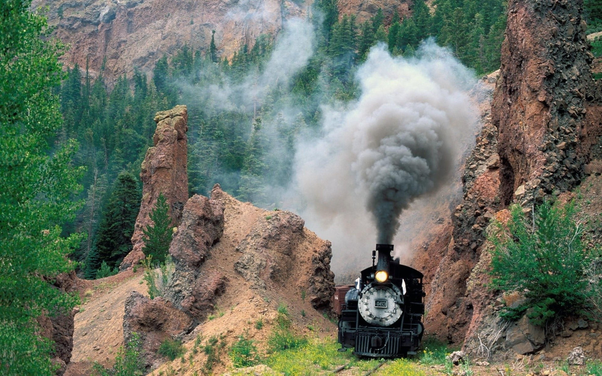 black train beside green trees during daytime vehicle railway 2k