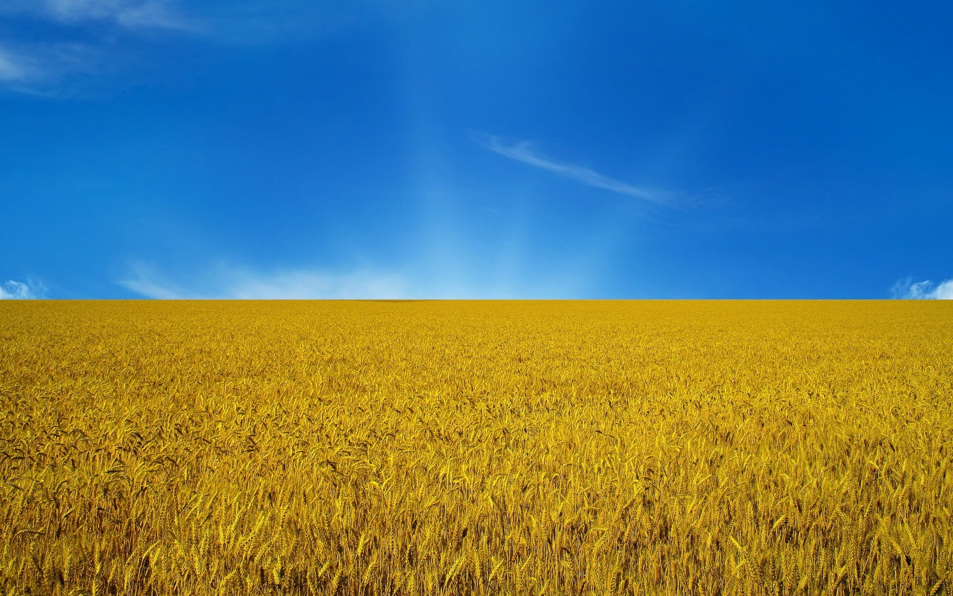 brown field under blue sky the flag Ukraine nature agriculture 2k