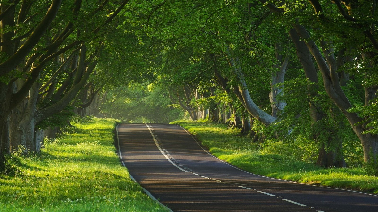 download nature full size 2k
