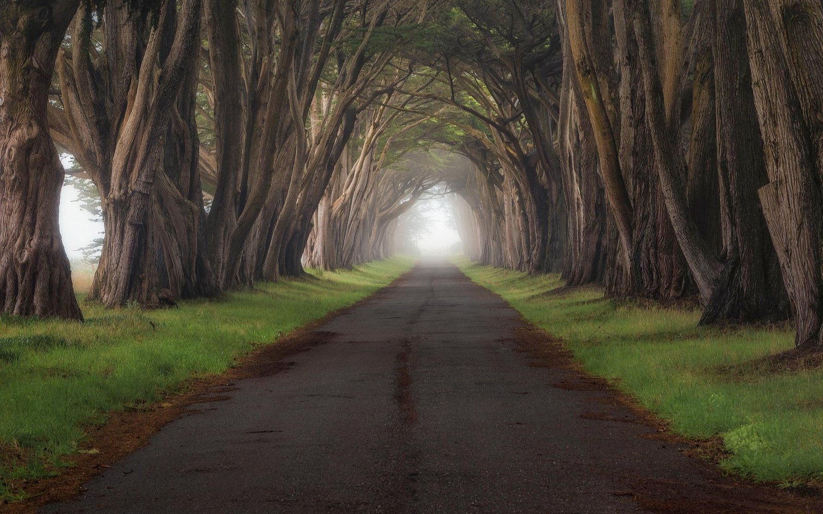 high resolution images of nature 2k