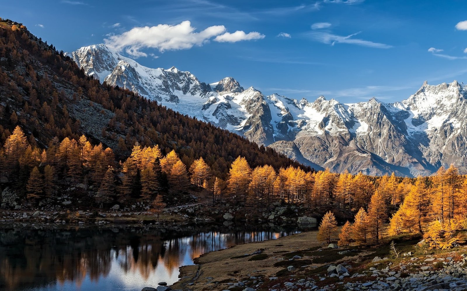 brown leafed trees gray and white mountains during daytime nature 2k