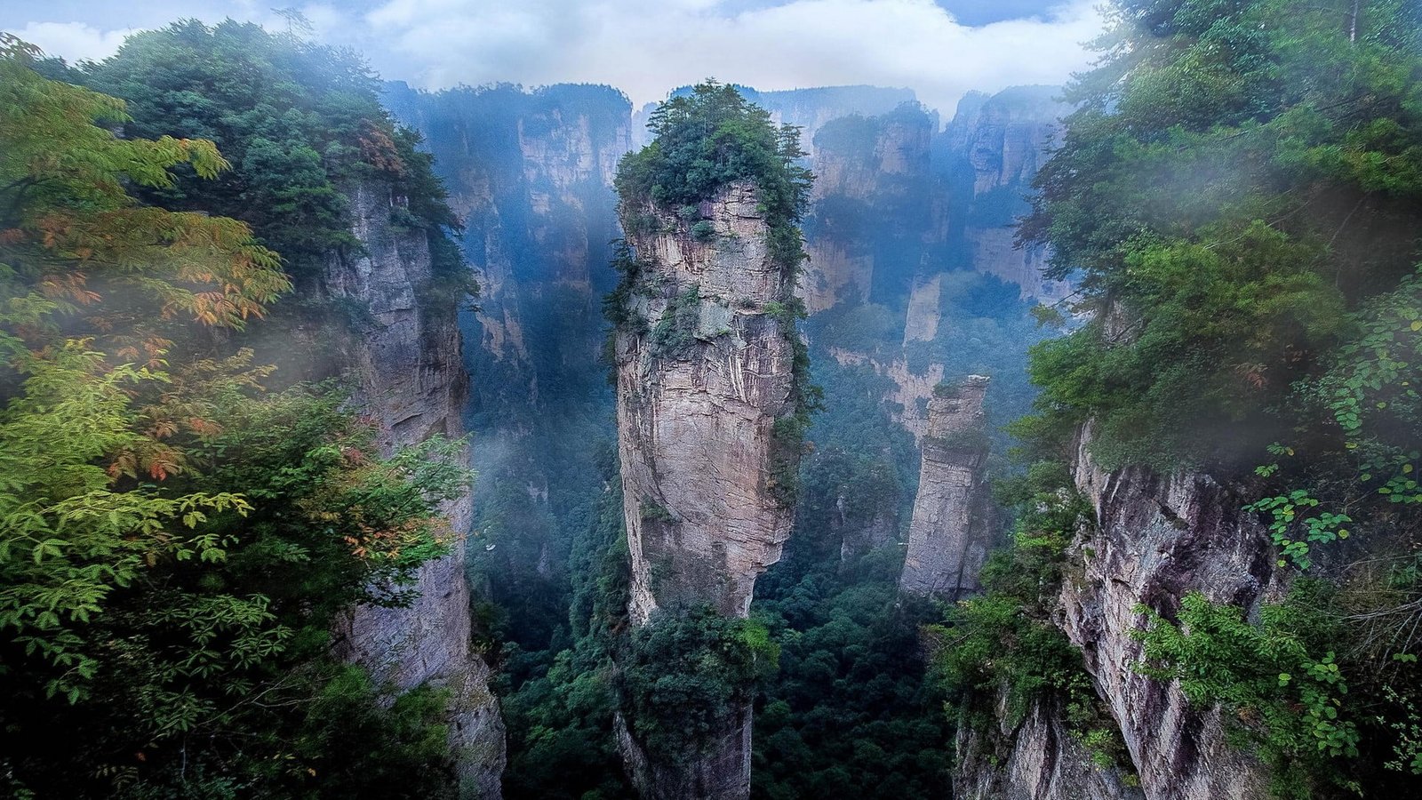 green leafed plants nature landscape mist national park mountains 2k
