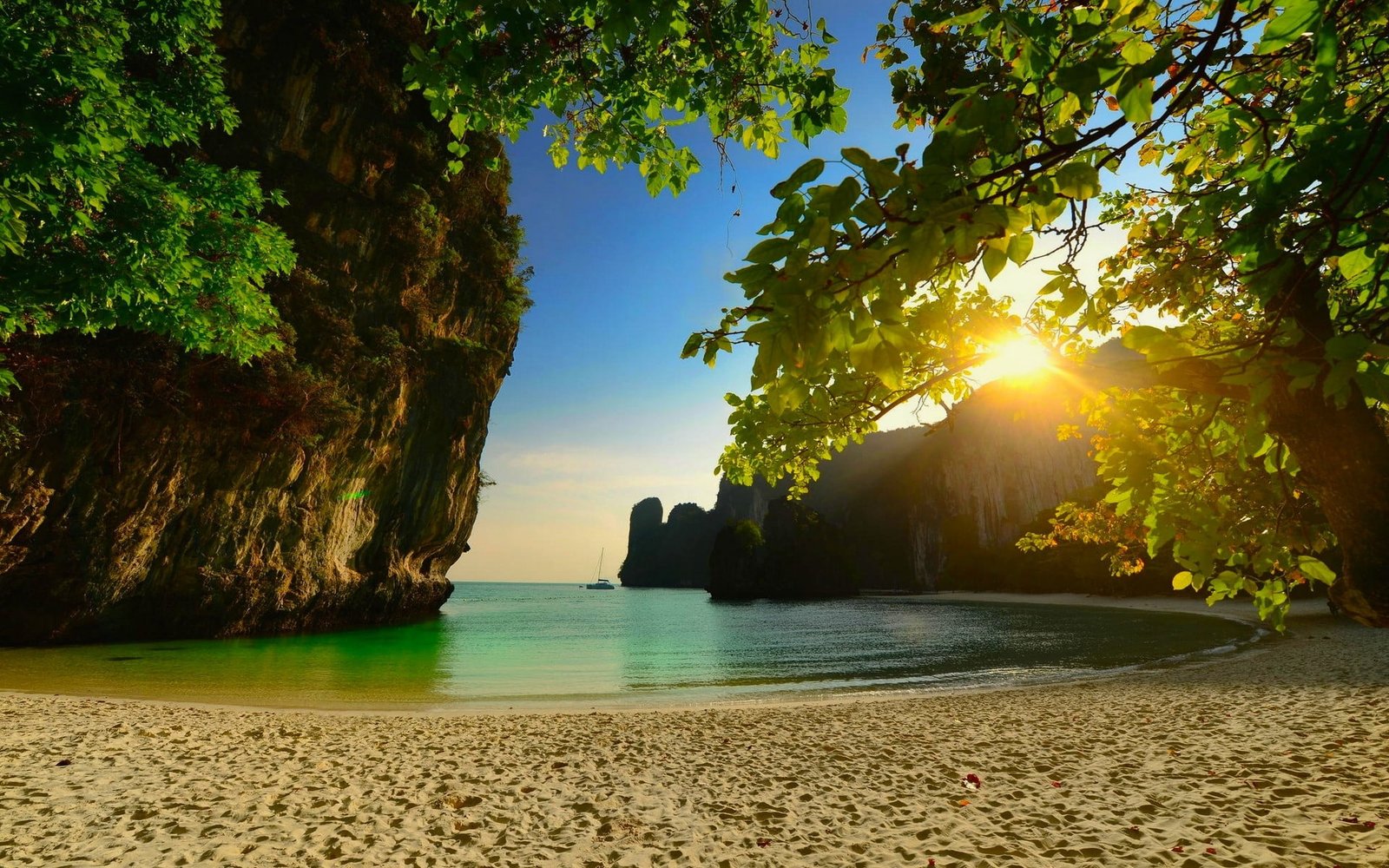 green leafed plants white seashore near rock formation under leaf tree at golden hour 2k