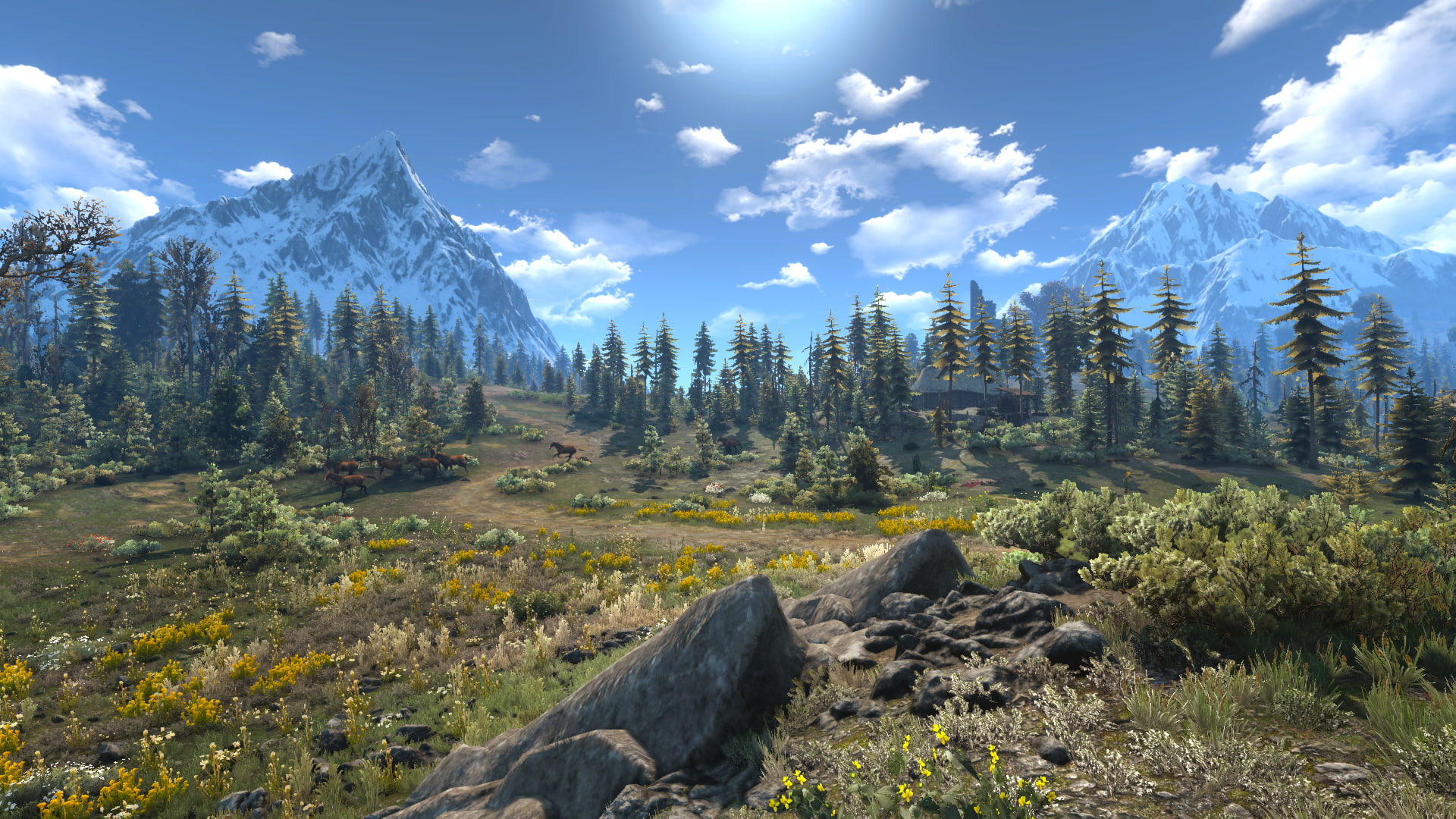 The Witcher 3 Wild Hunt 2k