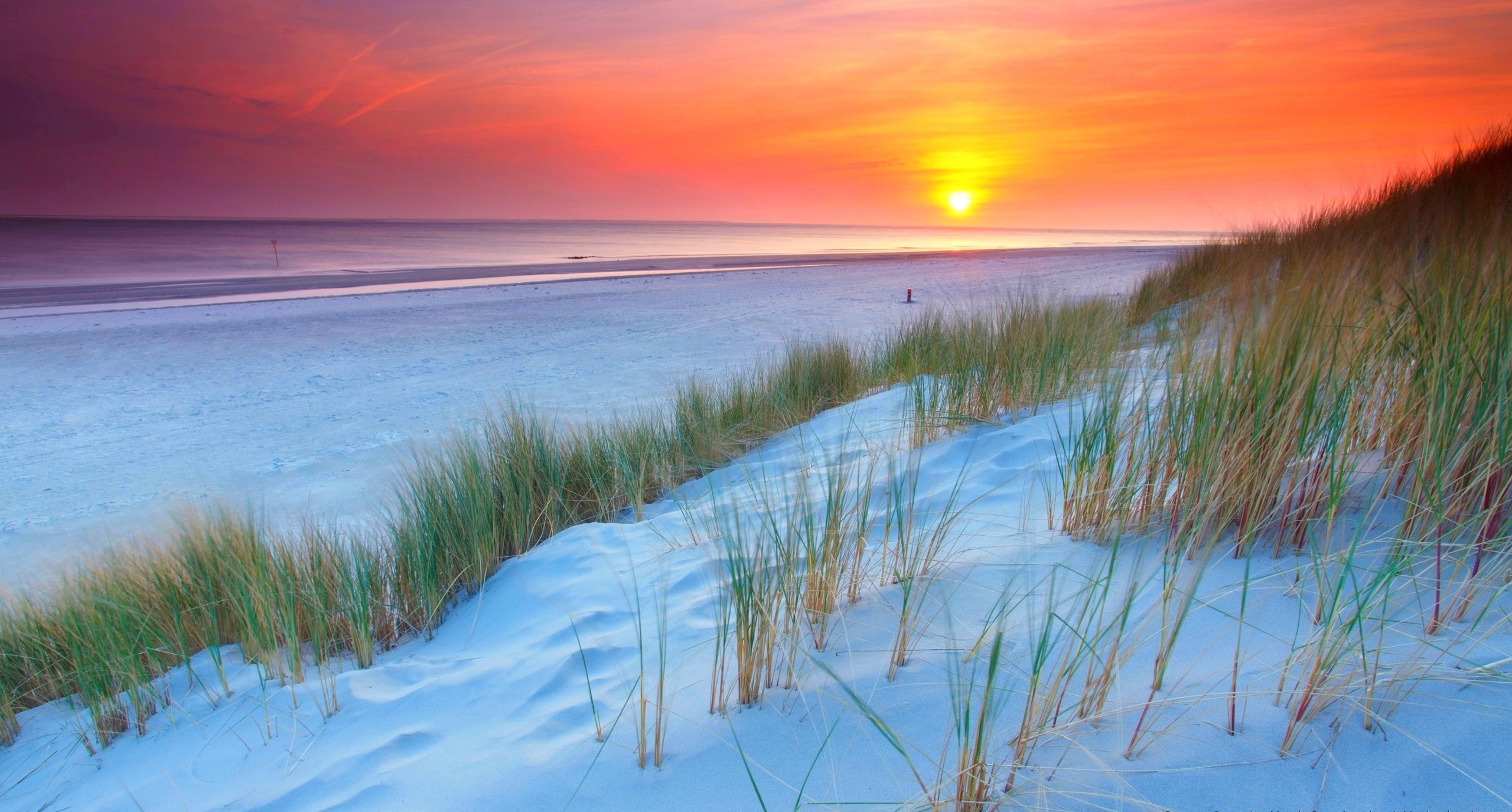 nature landscape sunset Netherlands beach sand dune sea 2k