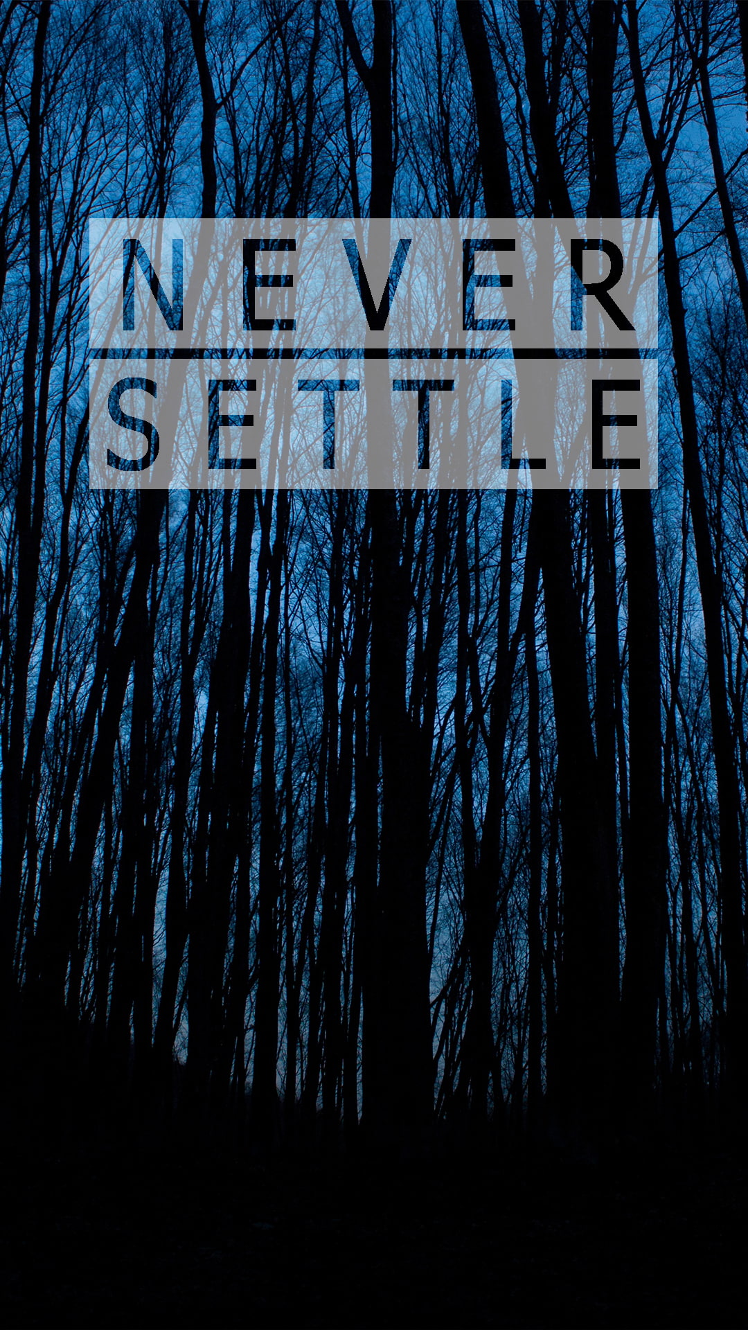 oneplus Never Settle forest portrait display tree text