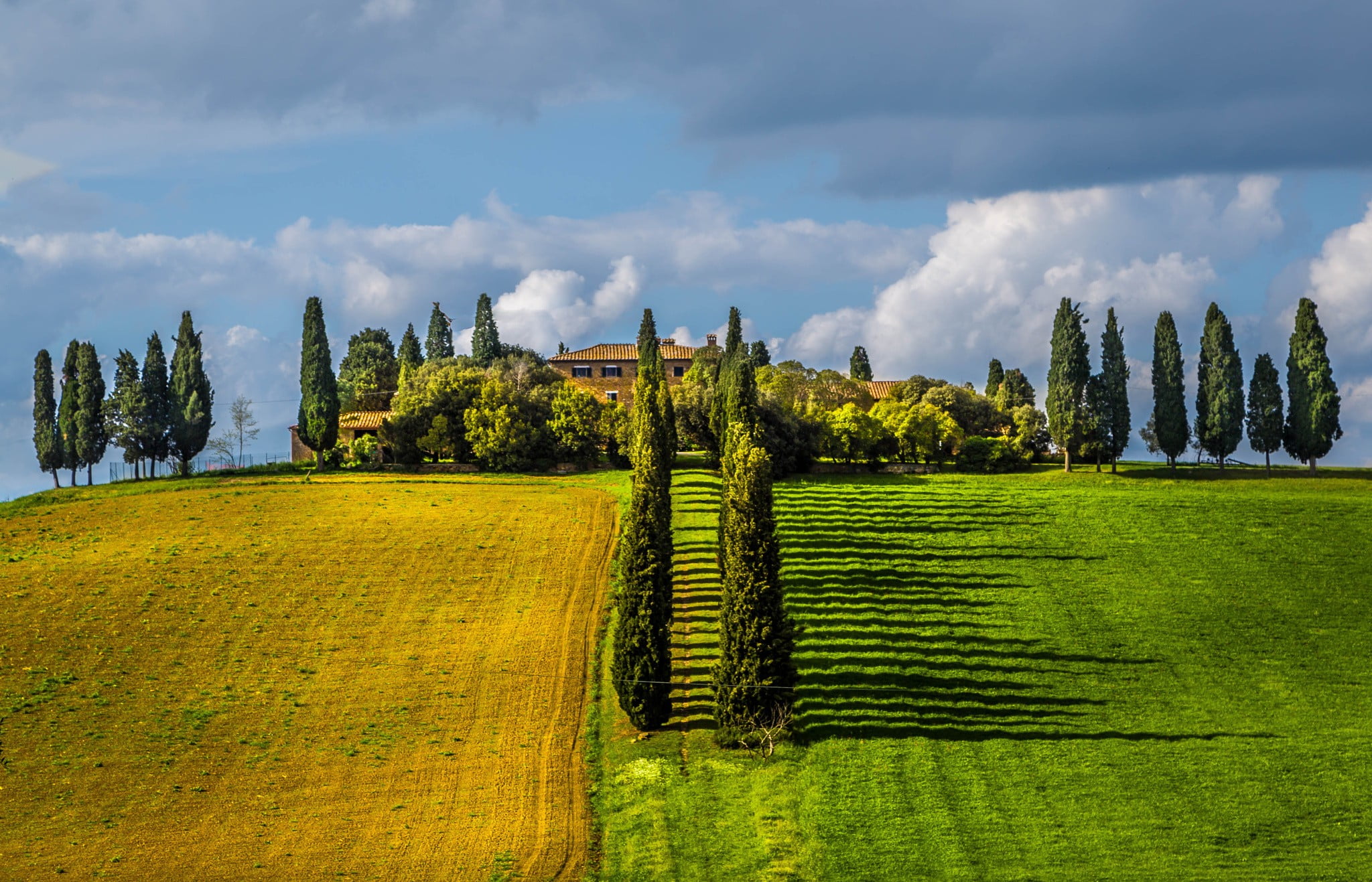 green leafed trees Tuscany Italy field villages clouds spring 2k