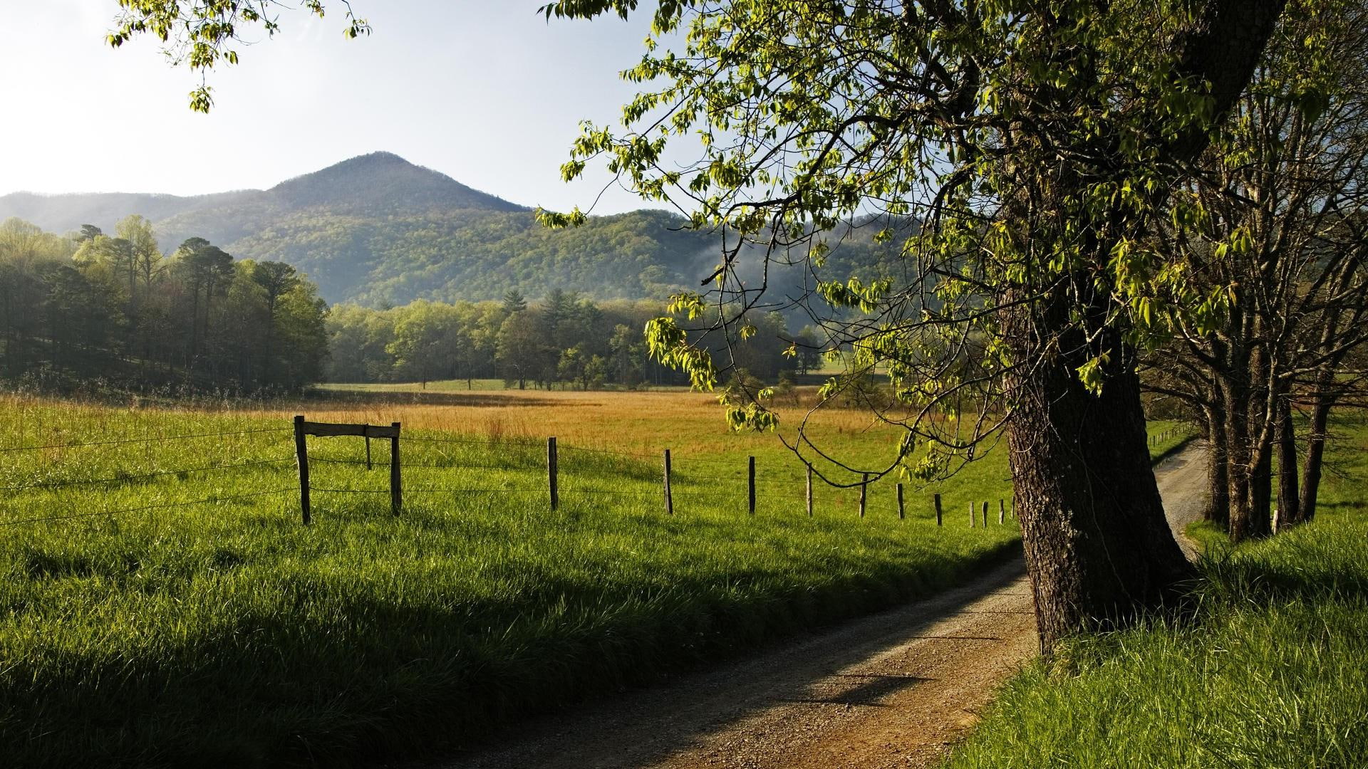 Great Smoky Mountains National Park green field nature 2k