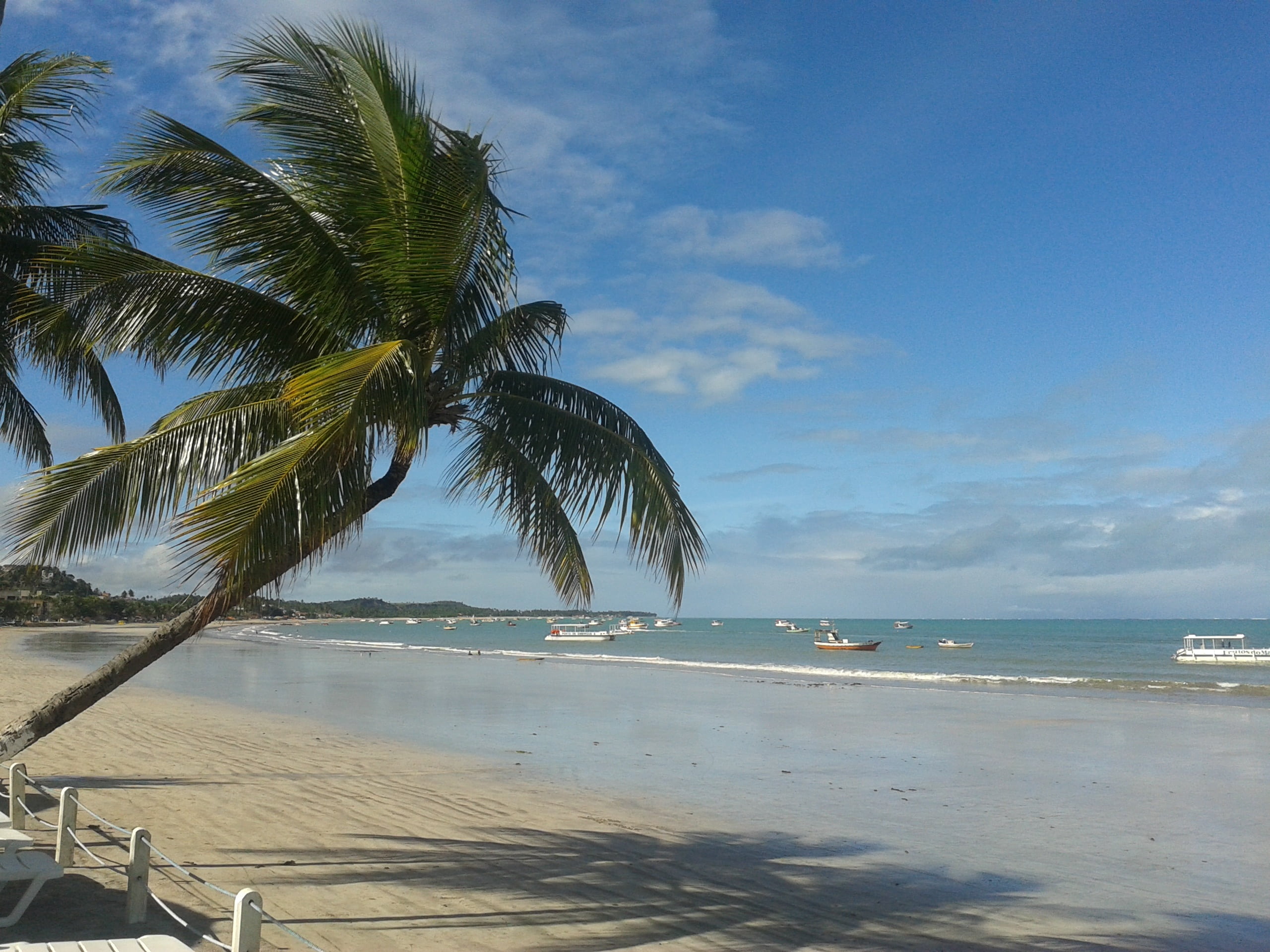 alagoas maragogi brazil northeast huh sol beach palm trees 2k