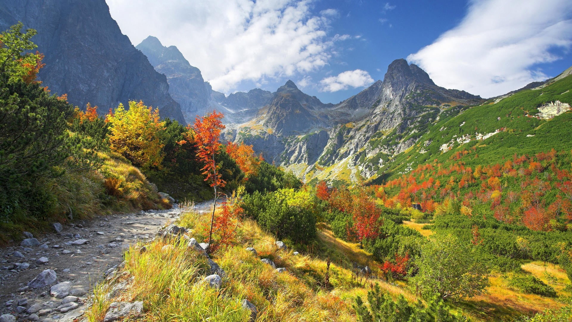 green and yellow grass grey pathway between fields near mountains 2k