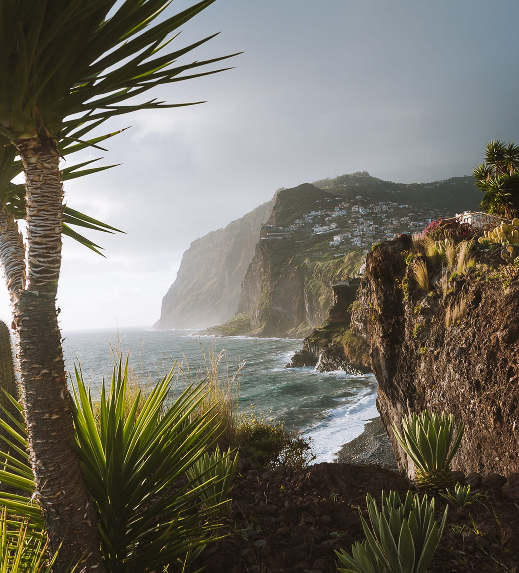 Island Landscape agave beach coast daylight exotic Madeira 2k