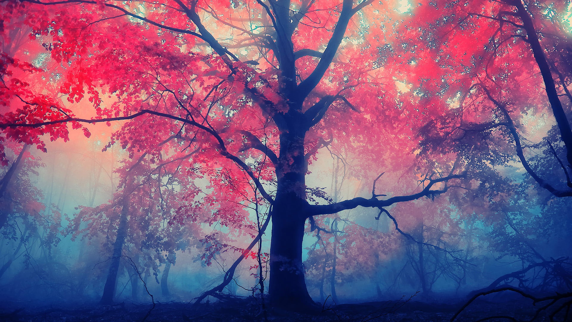 nature paint texture art design pattern wallpaper light 2k