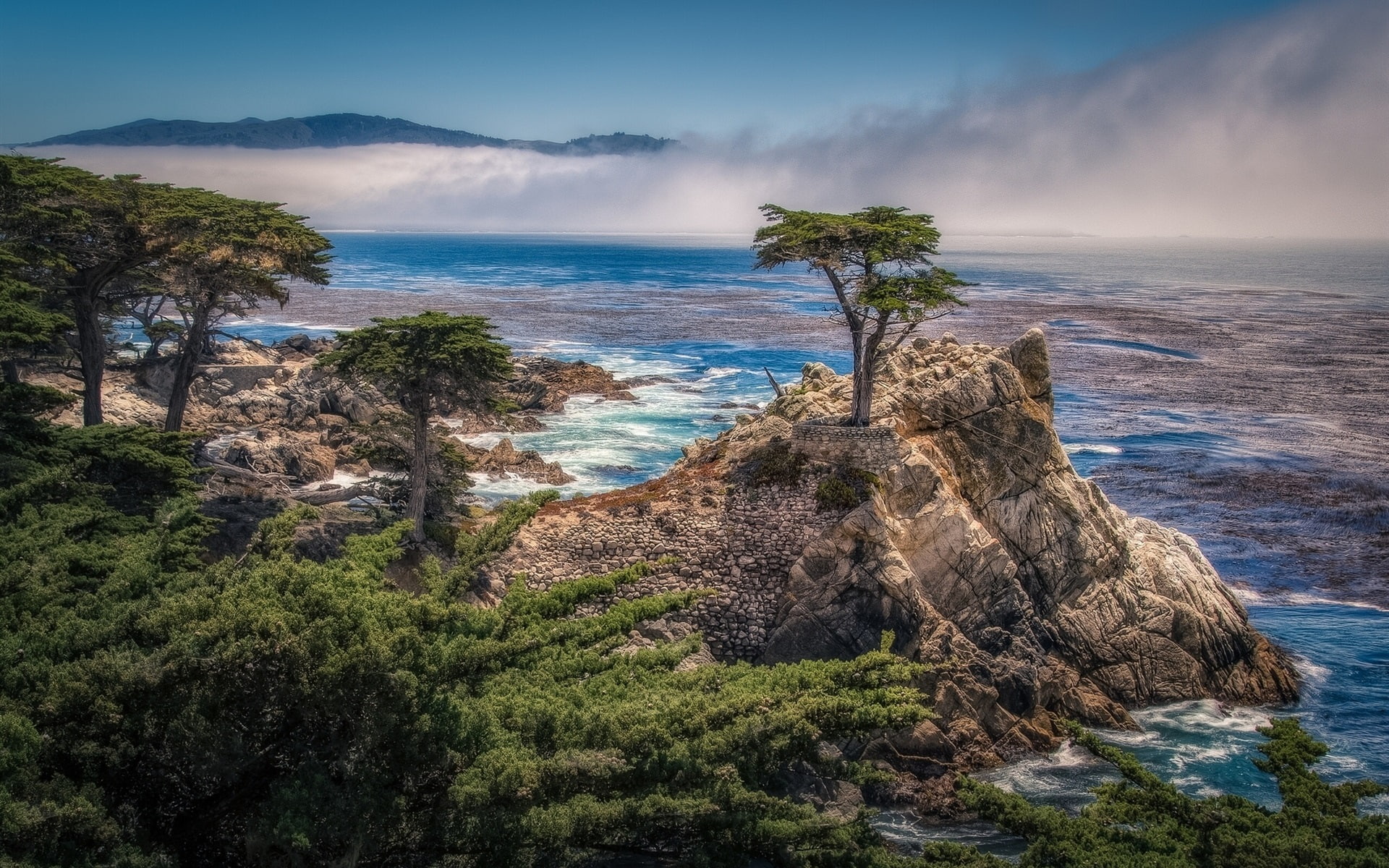 Pebble Beach California USA coast sea trees 2k