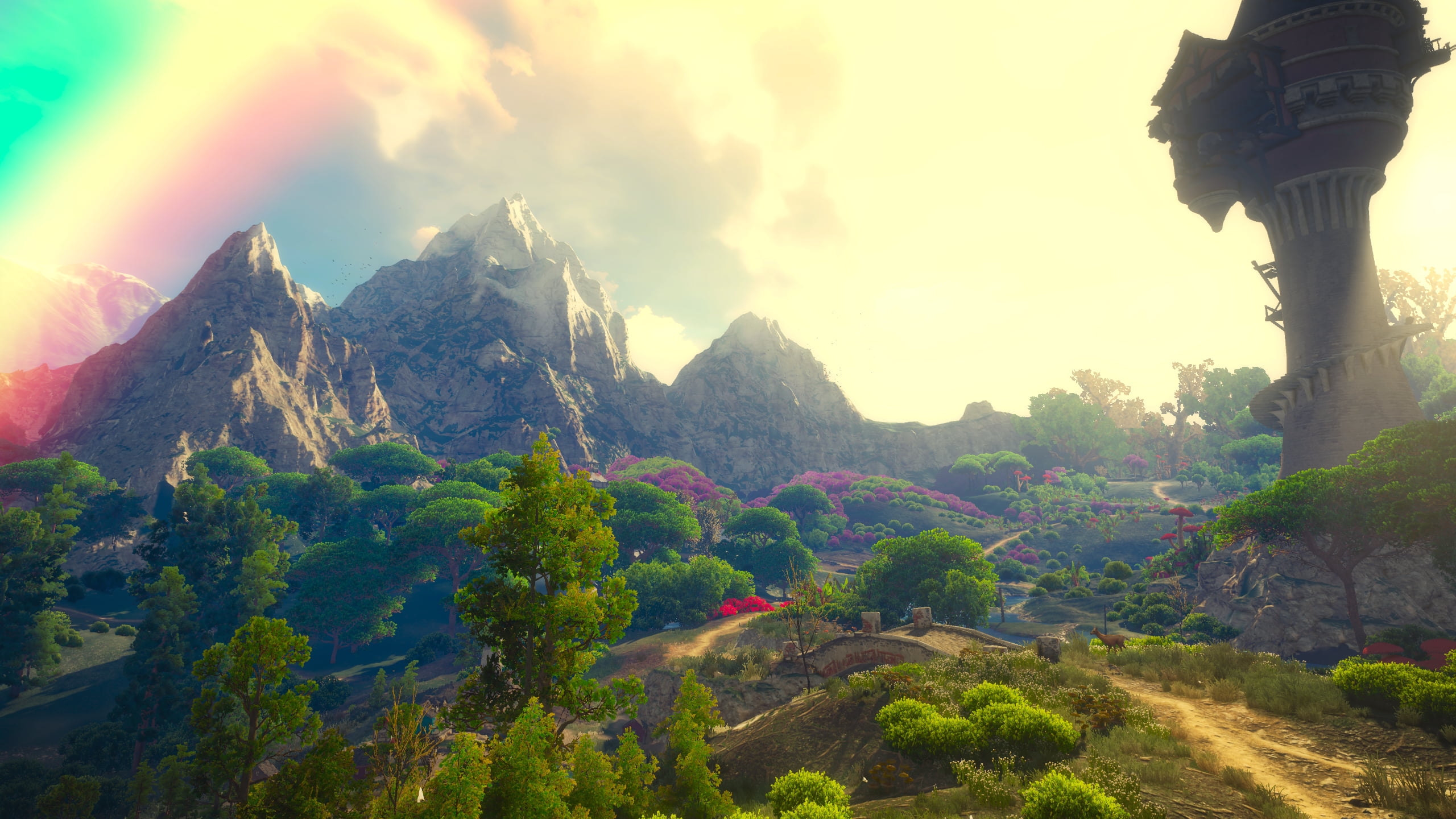 The Witcher 3 Wild Hunt 2k