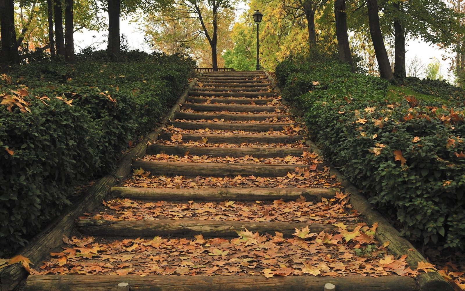 brown concrete stair park stairs lantern fall trees leaves 2k