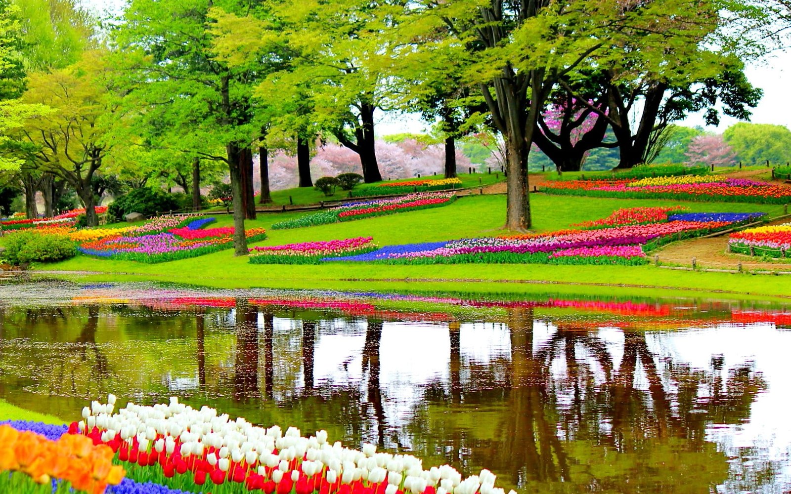 green grass field surrounding of tree garden flowers lake 2k