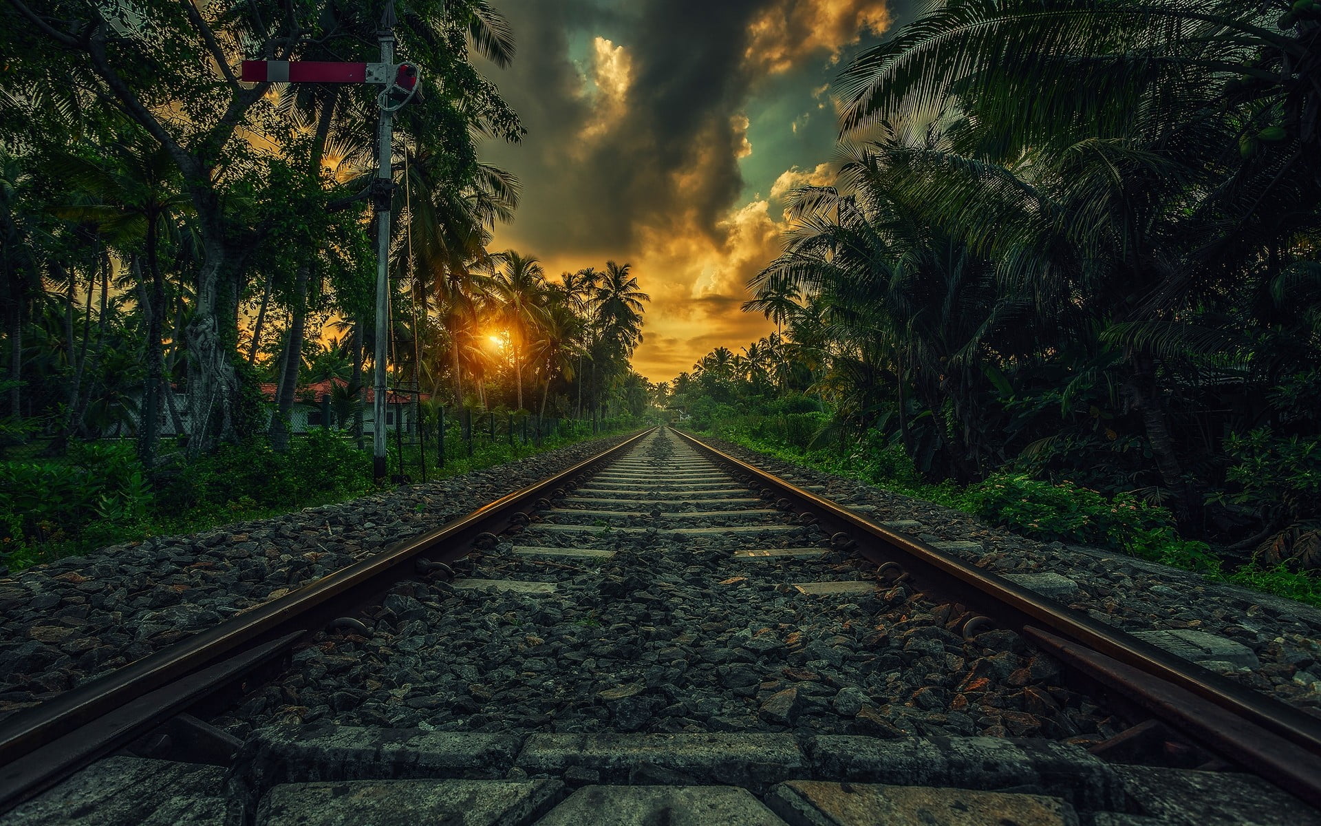 train railway wallpaper nature landscape sunset palm trees 2k