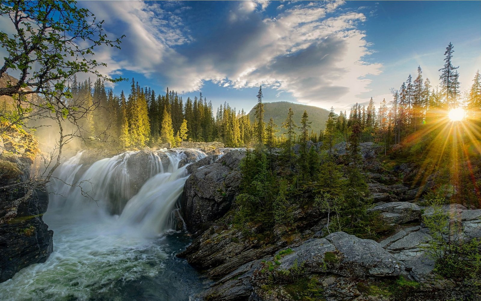 waterfall near trees at daytime sunset river forest sky nature 2k