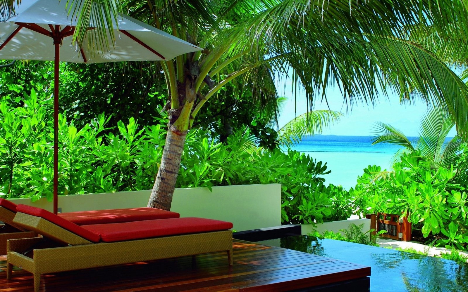 hotel palm trees tropical beach umbrella sea plant chair 2k